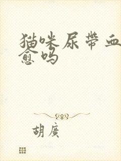 猫咪尿带血能自愈吗