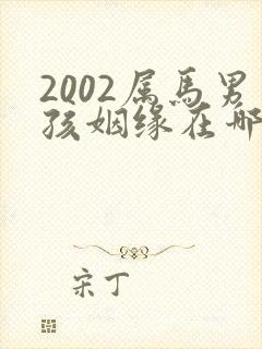 2002属马男孩姻缘在哪一年