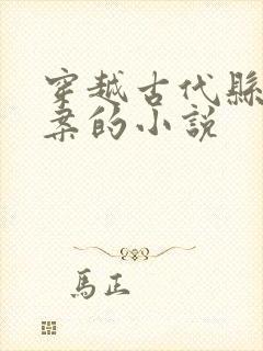 穿越古代县令破案的小说