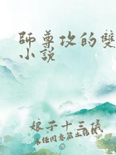 师尊攻的双男主小说