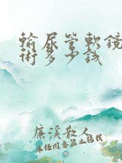 输尿管软镜排石术多少钱