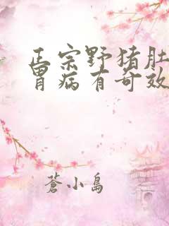 正宗野猪肚治疗胃病有奇效