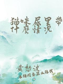 猫咪尿里带血是什么情况