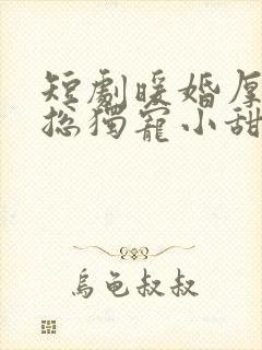 短剧暖婚厚爱纪总独宠小甜妻