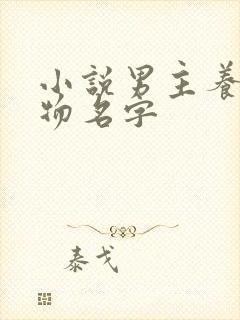 小说男主养的宠物名字