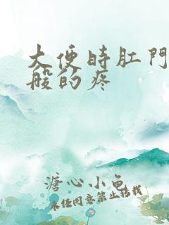 大便时肛门撕裂般的疼