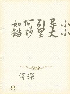 如何引导小猫到猫砂里大小便