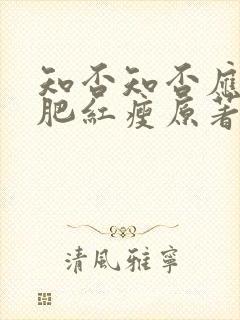 知否知否应是绿肥红瘦原著小说名字