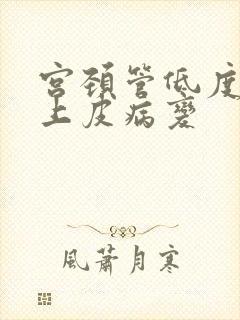 宫颈管低度鳞状上皮病变