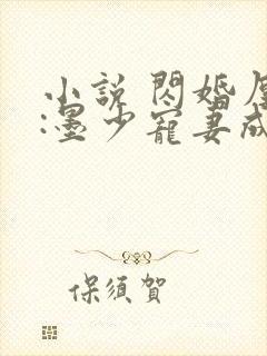 小说 闪婚厚爱:墨少宠妻成瘾