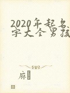 2020年起名字大全男孩缺金