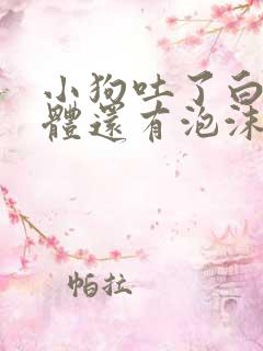 小狗吐了白色液体还有泡沫