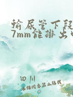 输尿管下段结石7mm能排出吗