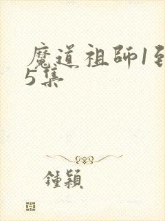 魔道祖师1到35集