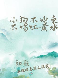 小狗不吃东西也不喝吐黄水