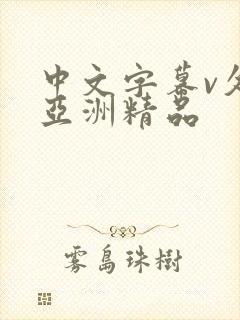 中文字幕v久久亚洲精品