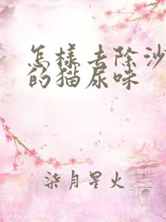 怎样去除沙发里的猫尿味