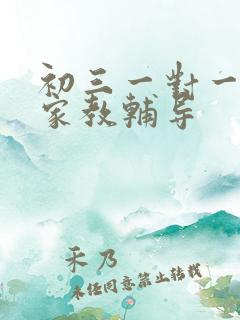 初三一对一上门家教辅导