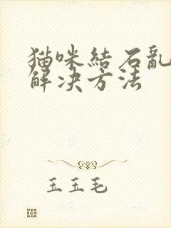 猫咪结石乱尿的解决方法