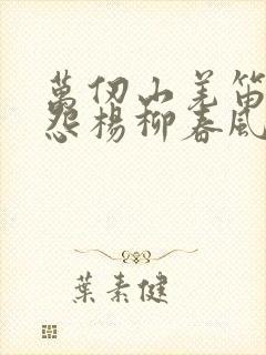 万仞山羌笛何须怨杨柳春风不度玉门关