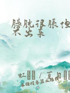 膀胱很胀但是尿不出来