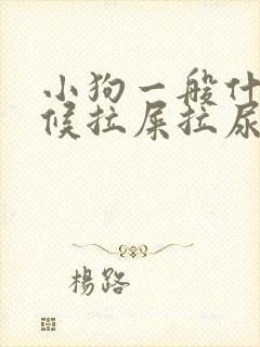 小狗一般什么时候拉屎拉尿