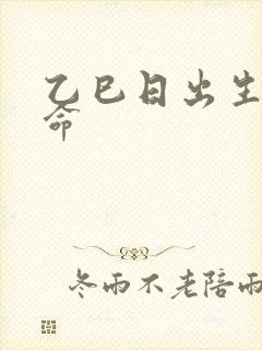 乙巳日出生的女命