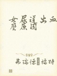 女尿道出血是什么原因