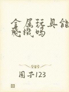 金属玩具能带上飞机吗