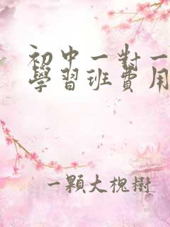 初中一对一辅导学习班费用