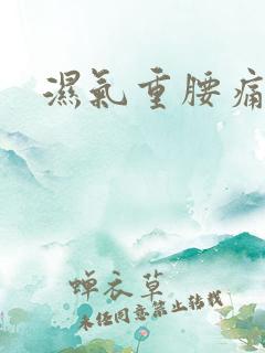 湿气重腰痛症状