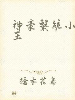 神豪系统小说女主