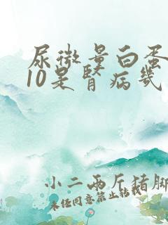 尿微量白蛋白110是肾病几期