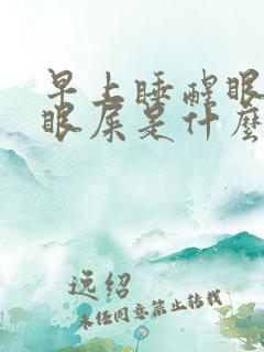 早上睡醒眼睛有眼屎是什么原因