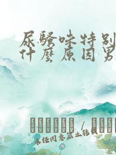 尿骚味特别重是什么原因男性