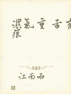 湿气重 舌有齿痕