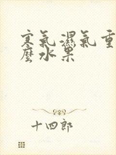 寒气湿气重吃什么水果