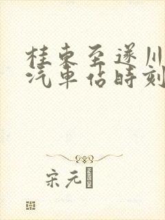 桂东至遂川长途汽车站时刻表