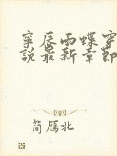 宁辰雨蝶穿越小说最新章节列表