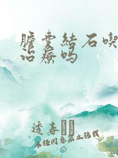 胆囊结石吃药能治疗吗