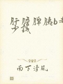 肝胆脾胰b超多少钱