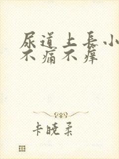 尿道上长小水泡不痛不痒