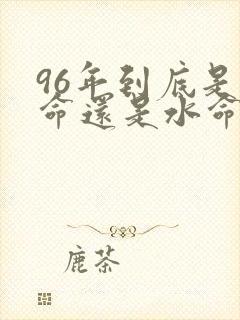 96年到底是火命还是水命