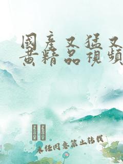 国产又猛又爽又黄精品视频