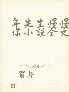 年先生慢慢喜欢你小说全文免费阅读