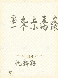 睾丸上表皮长了一个小肉球硬硬的