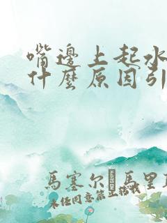 嘴边上起水泡是什么原因引起的