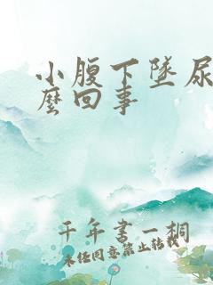 小腹下坠尿频怎么回事