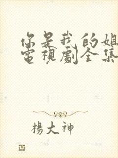 你是我的姐妹 电视剧全集免费观看