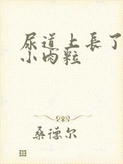 尿道上长了几个小肉粒